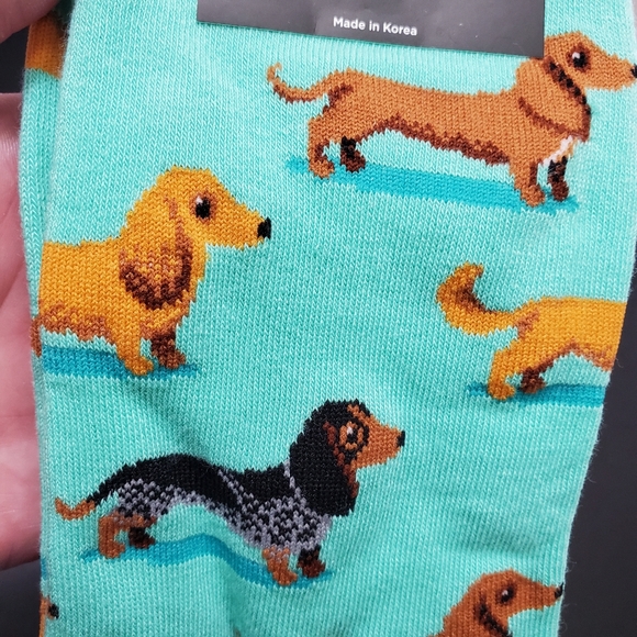 🧦3/$25 HotSox light green dachshund socks - Picture 4 of 4